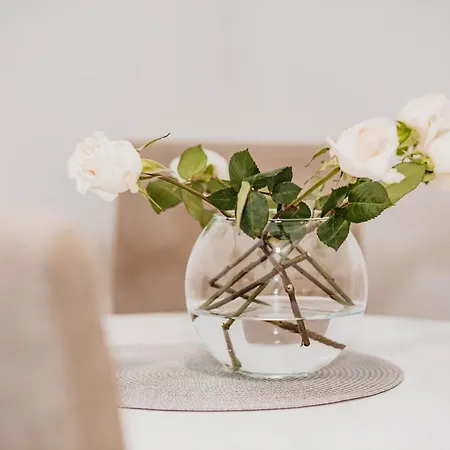 Lux Garden Apartment Mostar